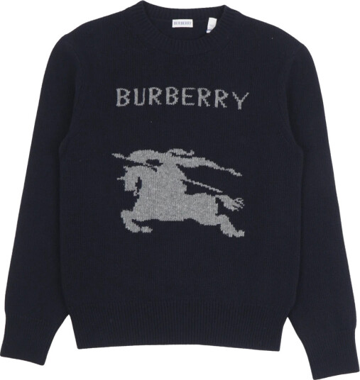 Burberry Herre Strikkevarer Blå L,