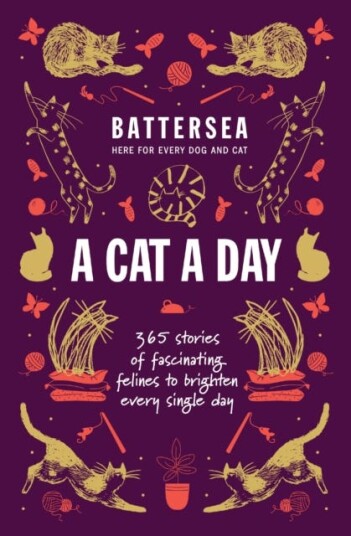 Battersea Dogs and Cats Home  A Cat a Day  365 stories of fascinating felines to brighten every day