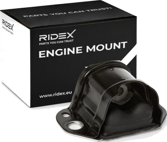 RIDEX 247E1246 Motorfeste