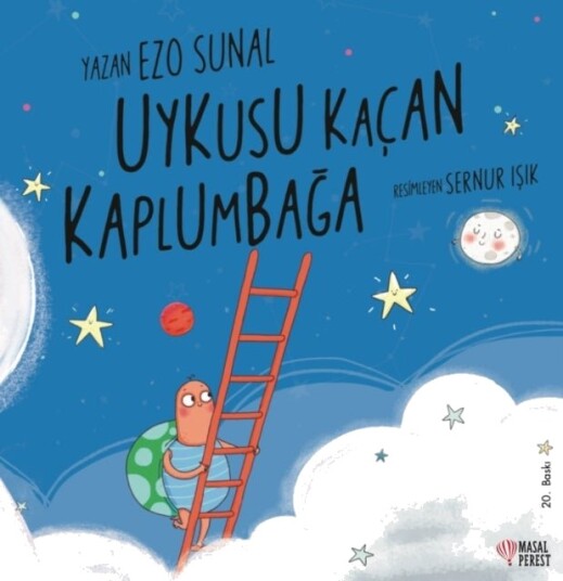 Uykusu Ka?an Kaplumbaga