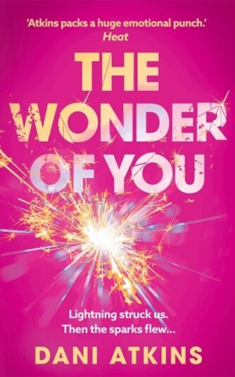 The Wonder of You The Wonder of You