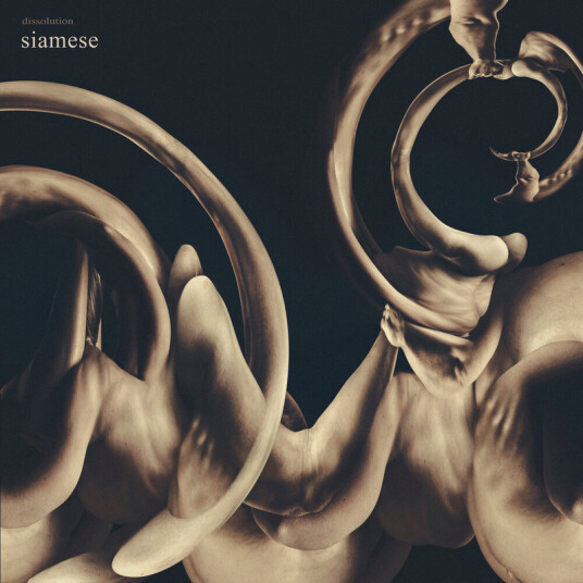 Siamese Dissolution CD