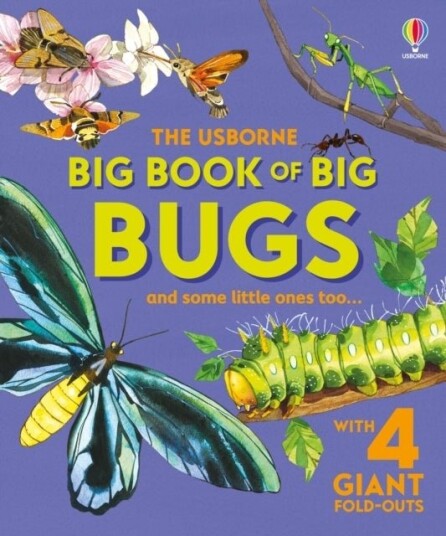Big Book of Big Bugs Big Book of Big Bugs