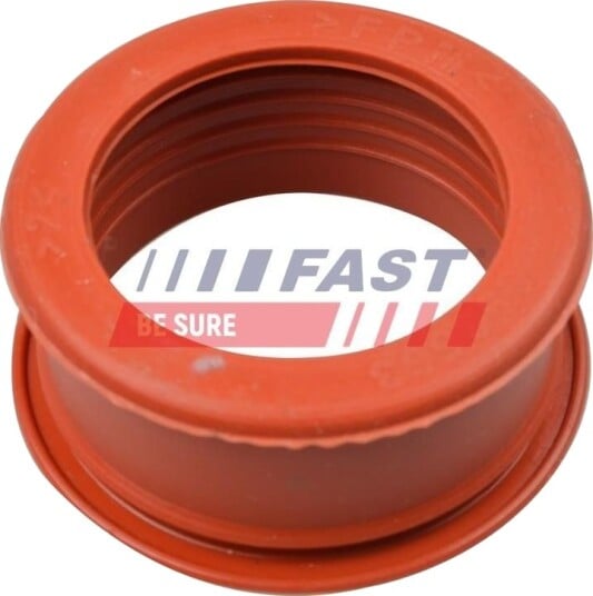 FAST FT61773 Ladeluftslange