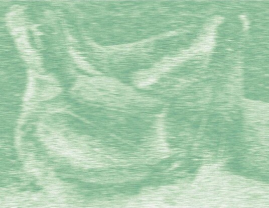 Elischa Heller Breathing Soil Vinyl