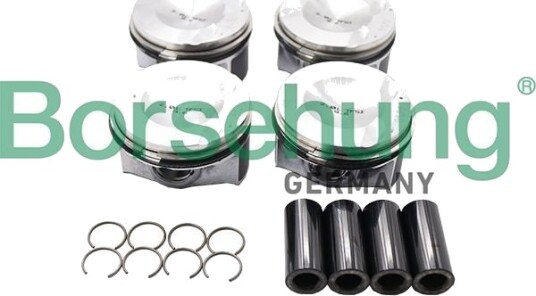 Borsehung B13574 Stempelringsett