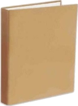 Tadeo Trading Penmate 2-Rings Perm A4 40 Mm Gull (Ab474tt)