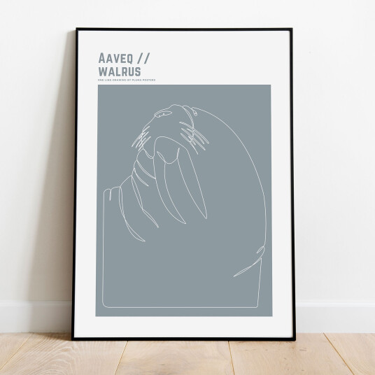 Aaveq - Walrus av Pluma Posters Aaveq - Walrus av Pluma Posters