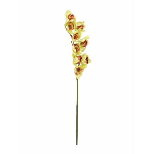 Europalms Cymbidium Spray, Green, 90cm Europalms Cymbidium Spray, Green, 90cm
