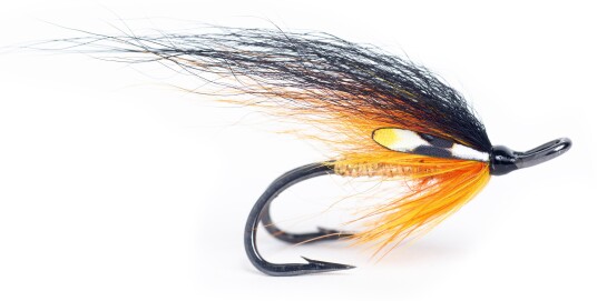 Guideline Ts Willy Gunn Double