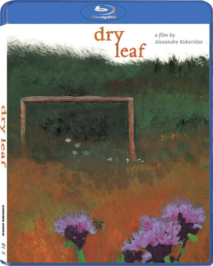 Dry Leaf Bluray