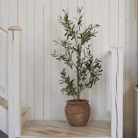 Mr Plant Oliventre 140 cm Mr Plant Oliventre 140 cm