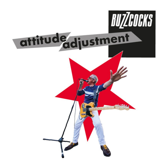 Buzzcocks  Attitude Adjustment  LP/Vinyl