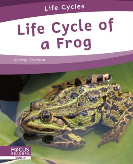 Life Cycle of a Frog Life Cycle of a Frog