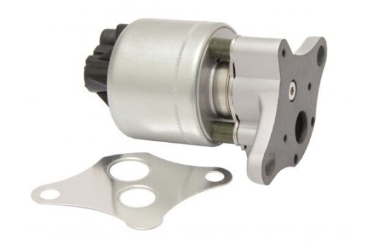EGR Ventil MAPCO 83700