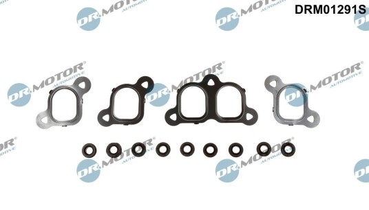 Pakkningssett innsugningsmanifold Dr.Motor Automotive DRM01291S