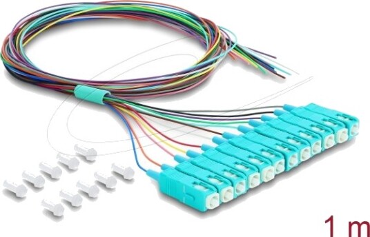 Delock 91048 1 M 12X Sc Pigtail