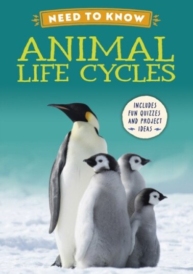 Need to Know: Animal Life Cycles