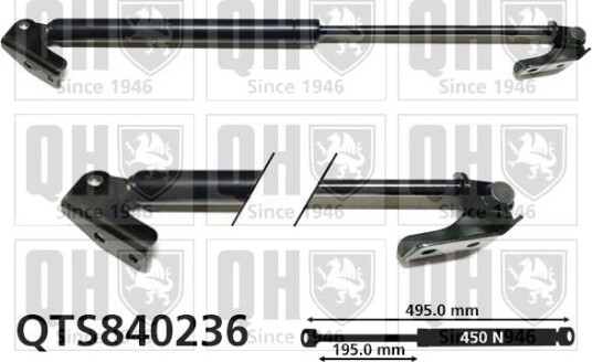 QUINTON HAZELL QTS840236 Baklukedemper