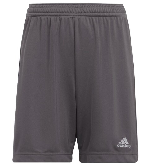 Adidas Performance Shorts Entrada 22 Grå 6 år 116 Shorts