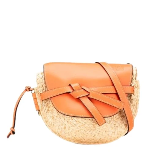 Loewe Pre-owned Dame Flerfarget