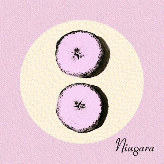 Niagara Otto CD