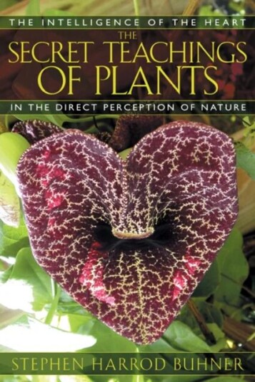 The Secret Teachings Of Plants Av Stephen Harrod Buhner