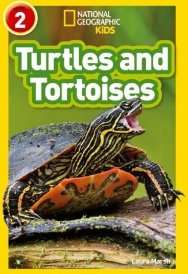 Turtles And Tortoises Av Laura Marsh, National Geographic Kids
