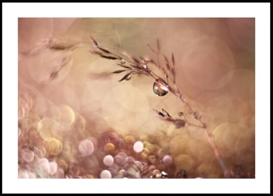 Ethereal Water Droplets Plakat / 30x40 Ethereal Water Droplets Plakat / 30x40