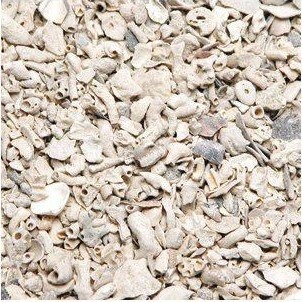 Muslingshell 15Kg