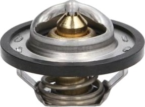 Termostat THERMOTEC D2R001TT