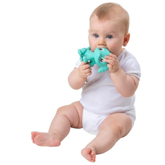 PLAYGRO Eco Play Natural Rubber Pooky Puppy Turquoise 10188823