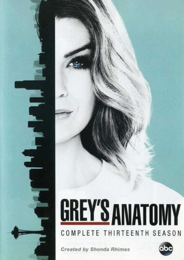 Grey's Anatomy: Complete Season 13 DVD