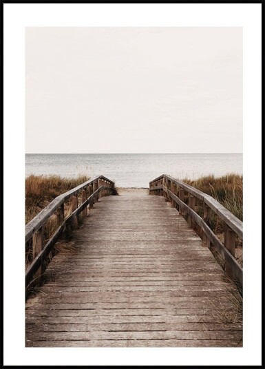 The Path To The Beach  Plakat Plakat / 50x70cm