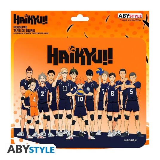 HAIKYU!! Musematte Team