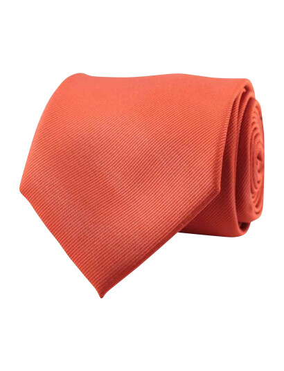 Portia 1924 Solid Silk Tie - Orange - ONE SIZE
