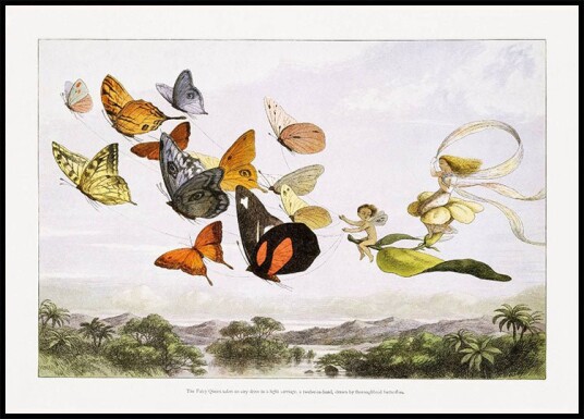 In Fairyland Butterflies By Richard Doyle Vintage Art Plakat Plakat / 50x70cm In Fairyland Butterflies By Richard Doyle Vintage Art Plakat Plakat / 50x70cm