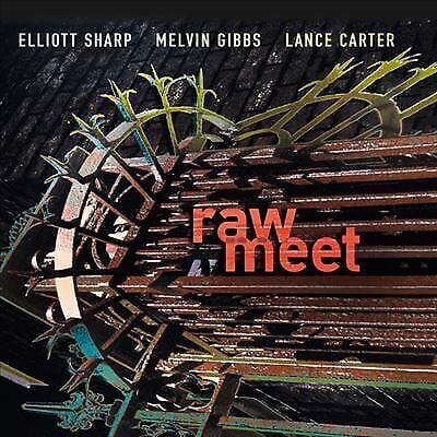 MediaTronixs Elliot Sharp : Raw Meet CD Pre-Owned