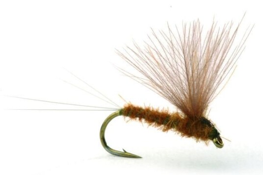 Umpqua Flies Rune"S Cdc No Hackle Olive #14 Kvalitetsfluer Fra Kjente Leverandører