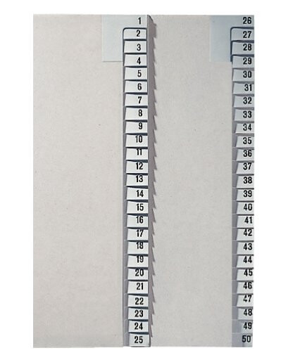 Leitz 13820085 Numeric Tab Index Papir Grå 100 G/M? 240 Mm 210 Mm