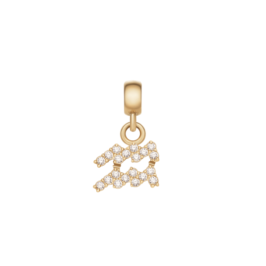 Daniel Wellington DW Charm Zodiac Gold Daniel Wellington DW Charm Zodiac Gold