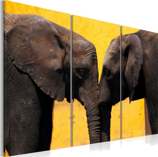 Bilde Elephant Kiss 120x80 Artgeist sp. z o. o.