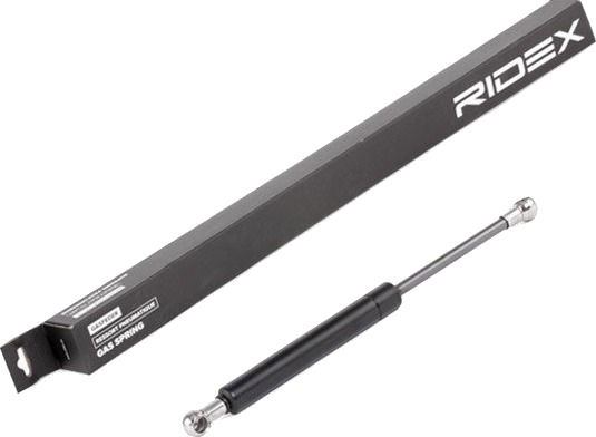 RIDEX 219G0644 Baklukedemper