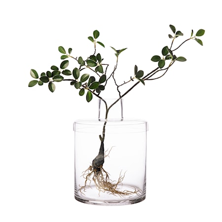 Vase med lokk 28 cm