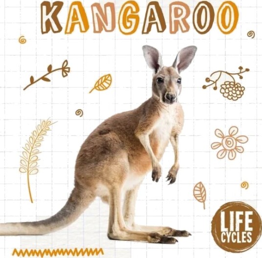 Kangaroo Av Shalini Vallepur