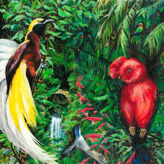 The Switch Birds Of Paradise Vinyl