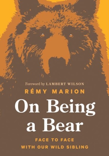 On Being a Bear Face to Face with Our Wild Sibling
