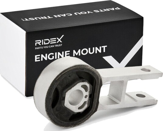 RIDEX 247E0455 Motorfeste
