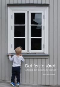 Det Første Såret Av Nancy Newton Verrier