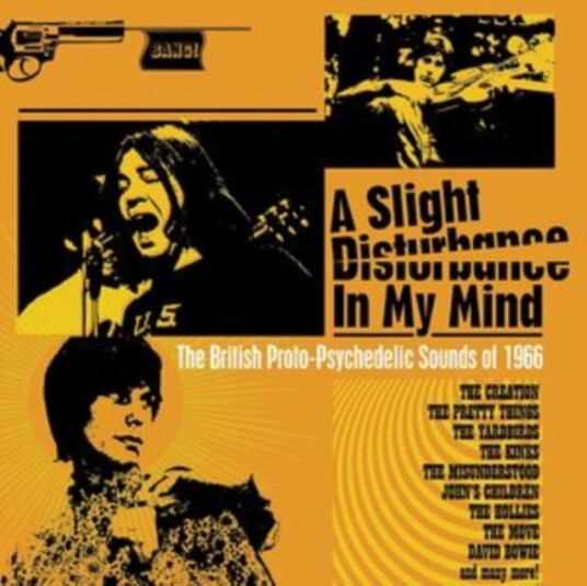 Diverse Artister A Slight Disturbance In My Mind The British ProtoPsychedelic Sounds Of 1966 CD